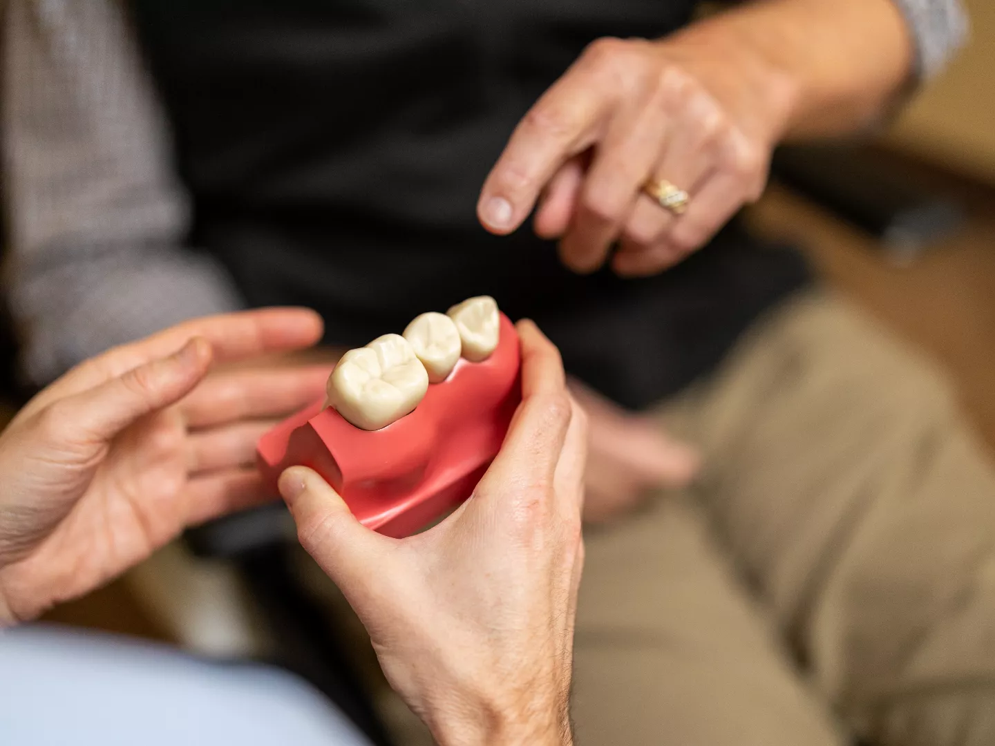 Close up of a dental model in the hands of a doctor as he shows a patient.